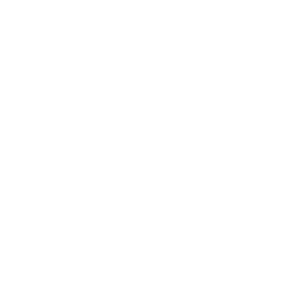 logo wewakecomo-comolake-wakesurf-wakeboard-lakecomo-boat tour como